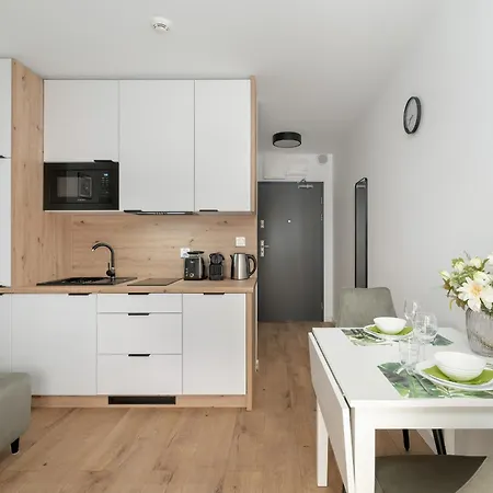 Stylowe Studia Z Tarasem W Poznaniu By Renters Apartment Poznan