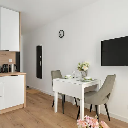 Stylowe Studia Z Tarasem W Poznaniu By Renters * Poznan