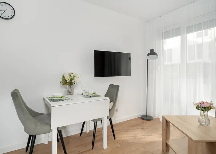 Stylowe Studia Z Tarasem W Poznaniu By Renters