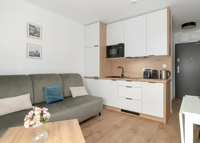 Stylowe Studia Z Tarasem W Poznaniu By Renters Poznan